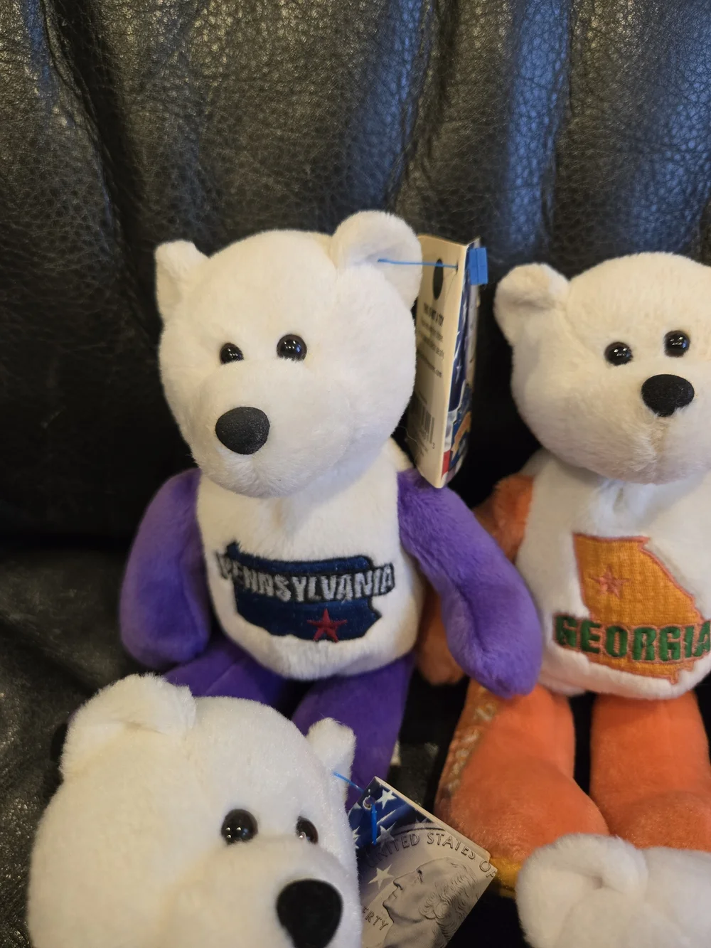 Limited Edition State Quarter Coin Bears – Collectible Plush  – Good - Picture 3 of 9